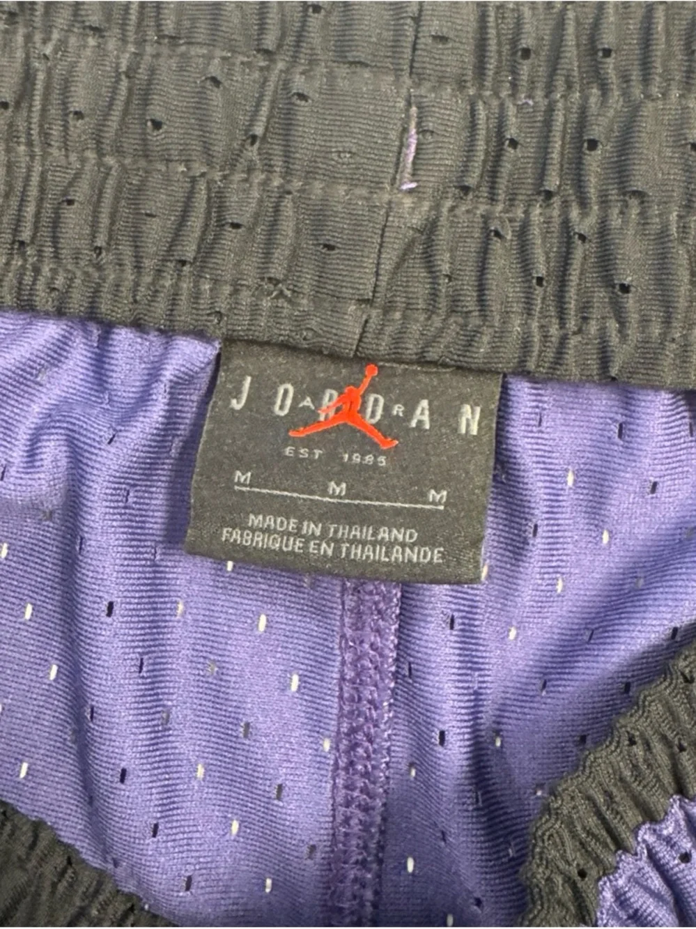 Jordan Men's Athletic Mesh Shorts in Purple and Black